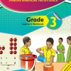 VISIONARY MATHEMATICS  - (Consolata School Nairobi, Grade 3)