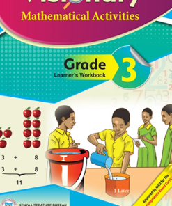 VISIONARY MATHEMATICS  - (Consolata School Nairobi, Grade 3)