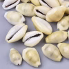 COWRIE SHELL BEADS  - 1 PKT  (Consolata School Nairobi, Grade 5)